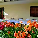 Antun Mozara Family House Oda ve Kahvaltı Slano