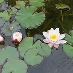 安通莫泽拉住宿加早餐旅馆 住宿加早餐酒店