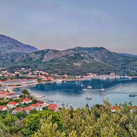 Antun Mozara Family House 3* スラノ