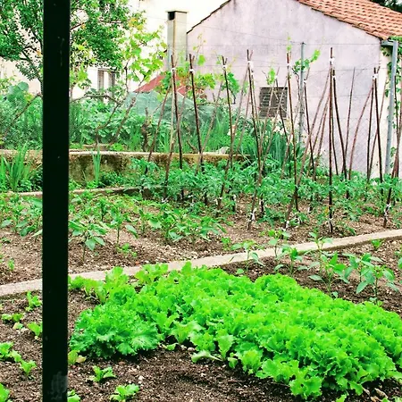 Antun Mozara Family House ベッド・アンド・ブレックファスト