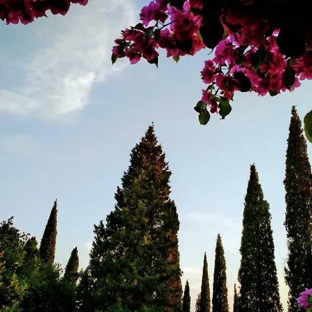 Bed & Breakfast Antun Mozara Family House