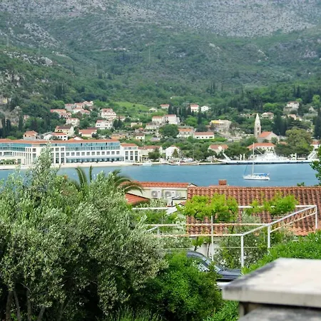 Antun Mozara Family House スラノ