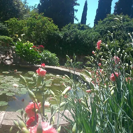 Couette-café Antun Mozara Family House 3*