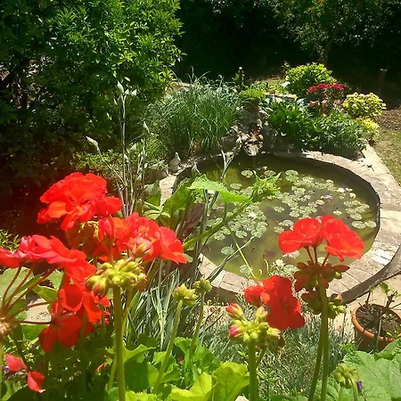 Antun Mozara Family House