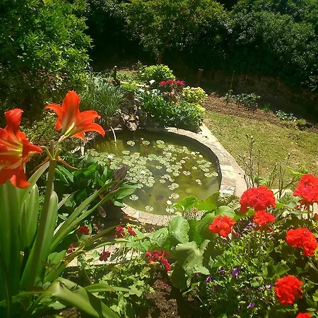 Antun Mozara Family House Couette-café 3*