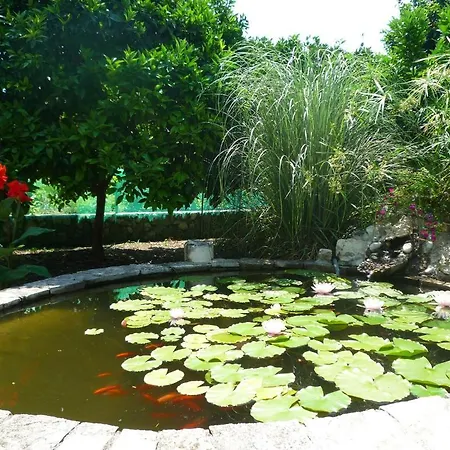 Bed and breakfast Antun Mozara Family House 3*