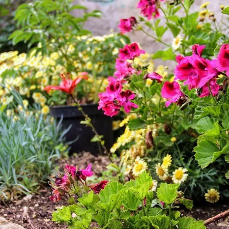 Couette-café Antun Mozara Family House Slano