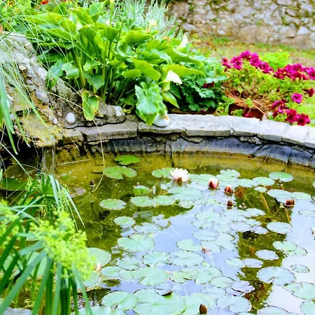 Antun Mozara Family House 3* Slano