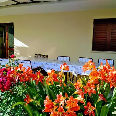 Antun Mozara Family House לינה וארוחת בוקר סלאנו