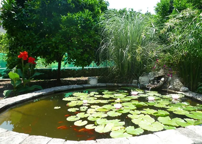 Bed & Breakfast Antun Mozara Family House 3*