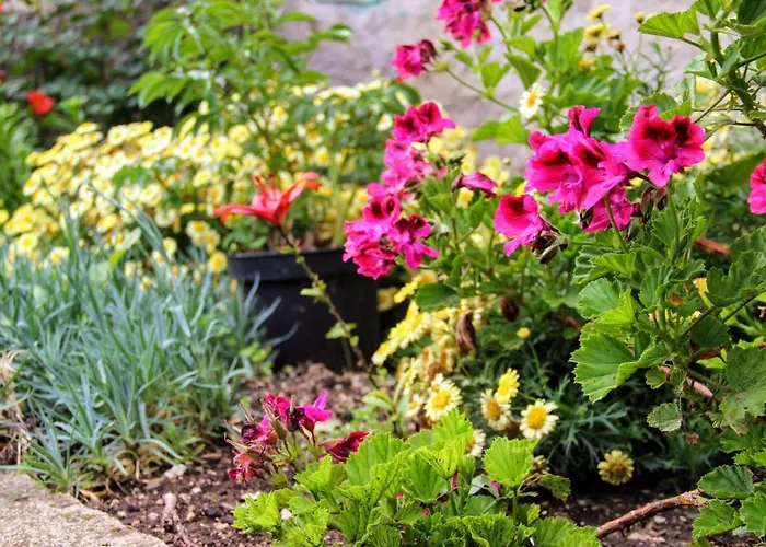 Bed & Breakfast Antun Mozara Family House Slano