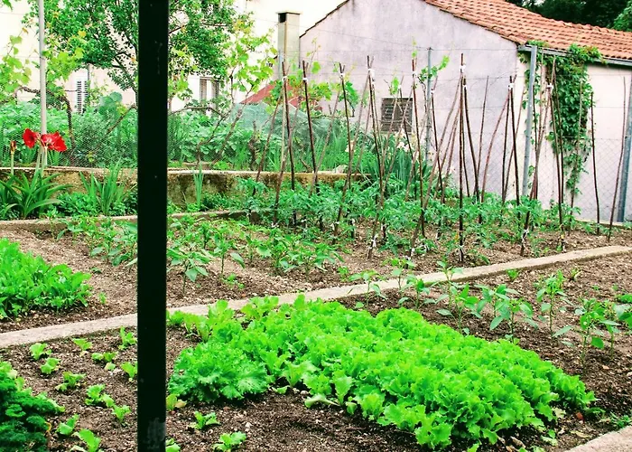 Antun Mozara Family House Bed & Breakfast