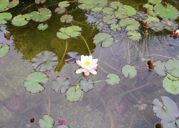 Bed & Breakfast Antun Mozara Family House Slano