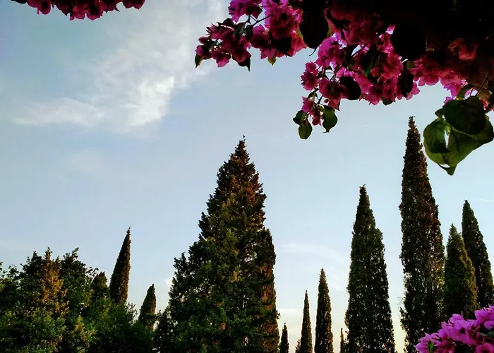 Bed & Breakfast Antun Mozara Family House