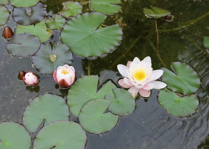 Antun Mozara Family House Bed & Breakfast